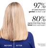image:imageTangle Teezer Zodiac Ultimate Detangler Brush All Hair Types ScorpioLibra Sep 23Oct 22
